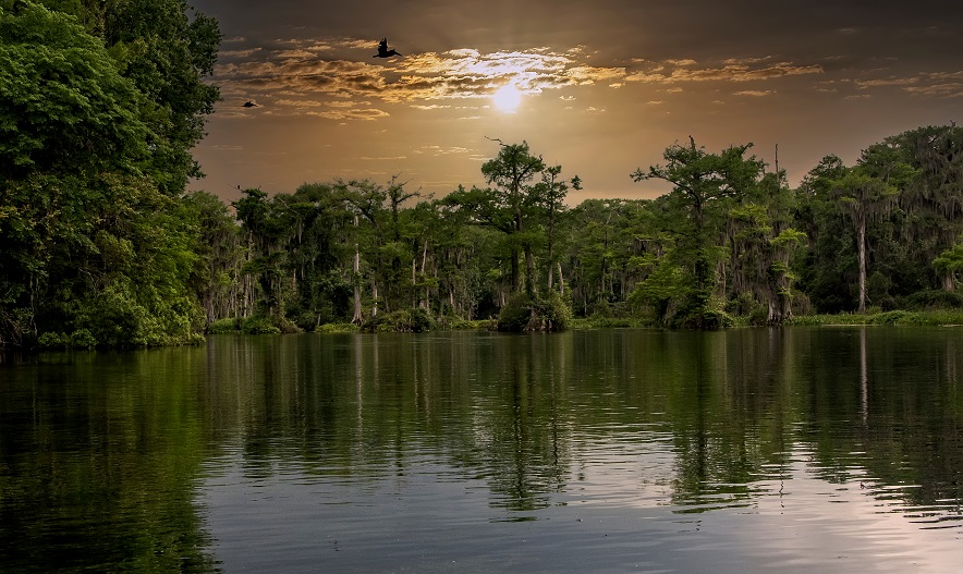 wakulla park tallahassee florida