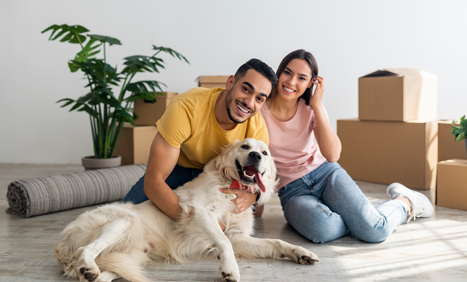 moving with pets