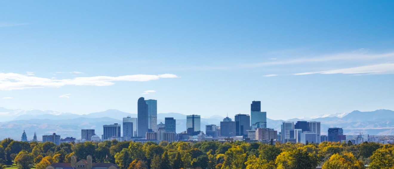 trees with rich foliage and many skyscrapers in the background