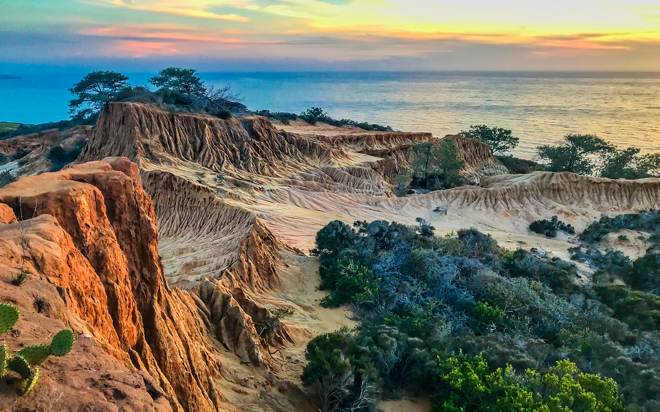 Torrey Pines State Reserve San Diego