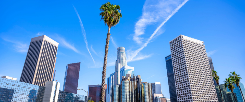 photo of downtown zip code for apartment construction in LA with palm tree in the foreground