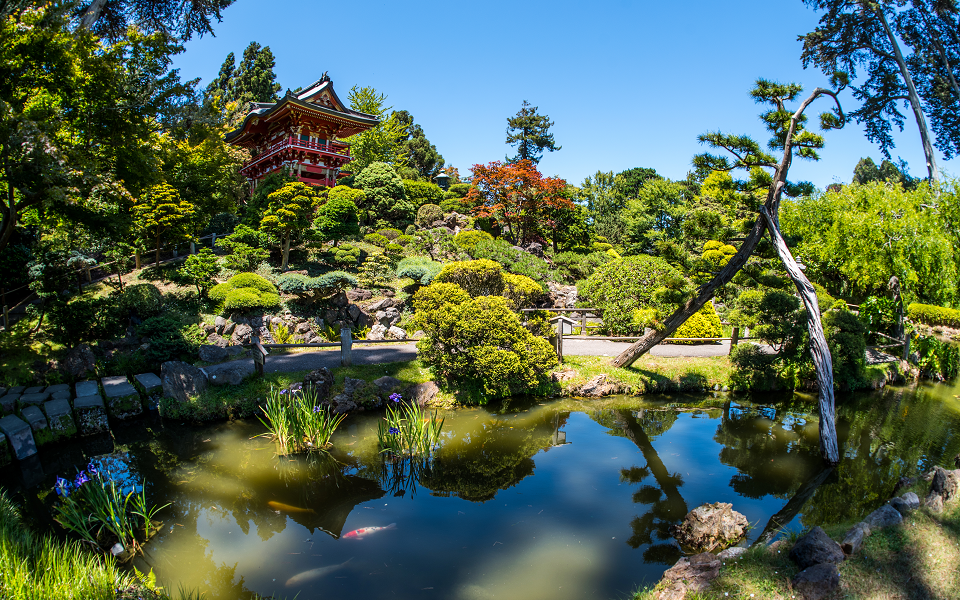 japanese botanical gardens san francisco