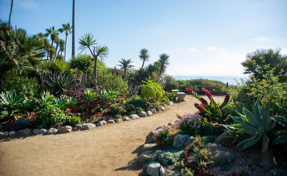 self realization gardens in san diego