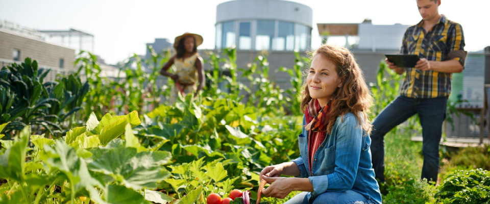 picture of friends hanging out in the community garden