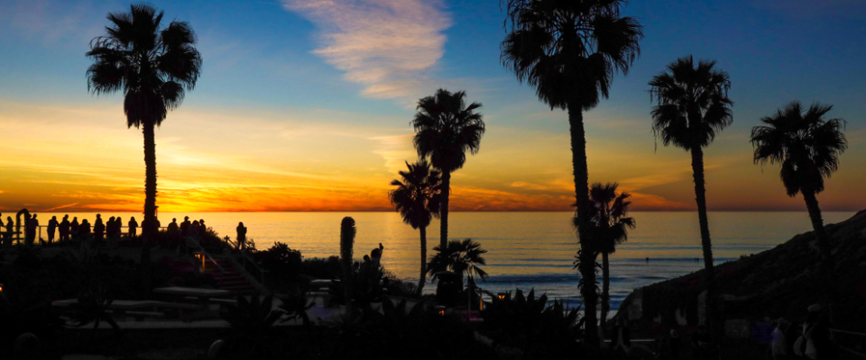 Silhouetted palm trees and people watching the sunset at Fletcher Cove, highlighting it as one of the best beaches in San Diego for scenic views and relaxation.
