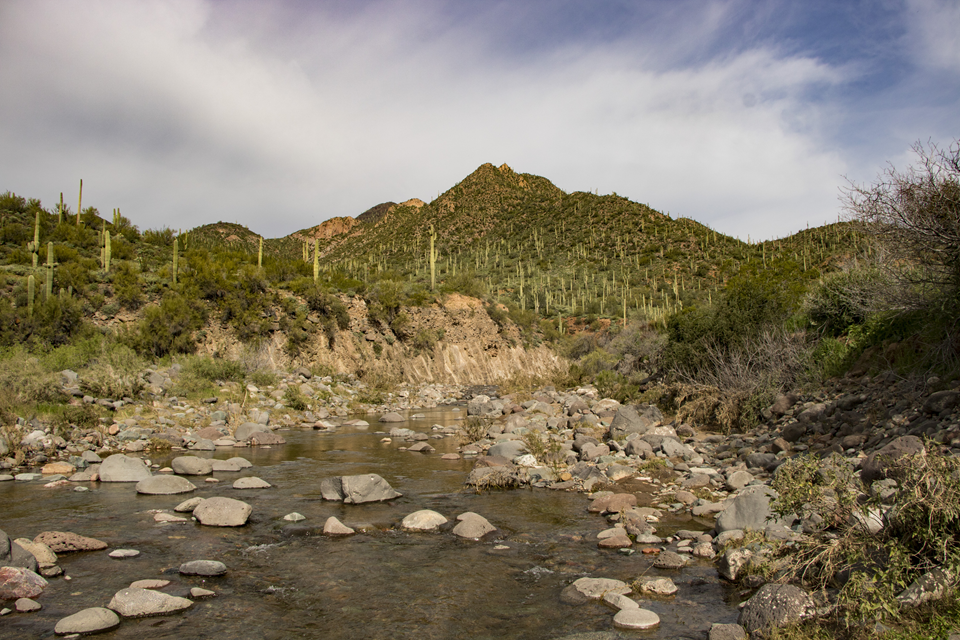 cave creek in arizona
