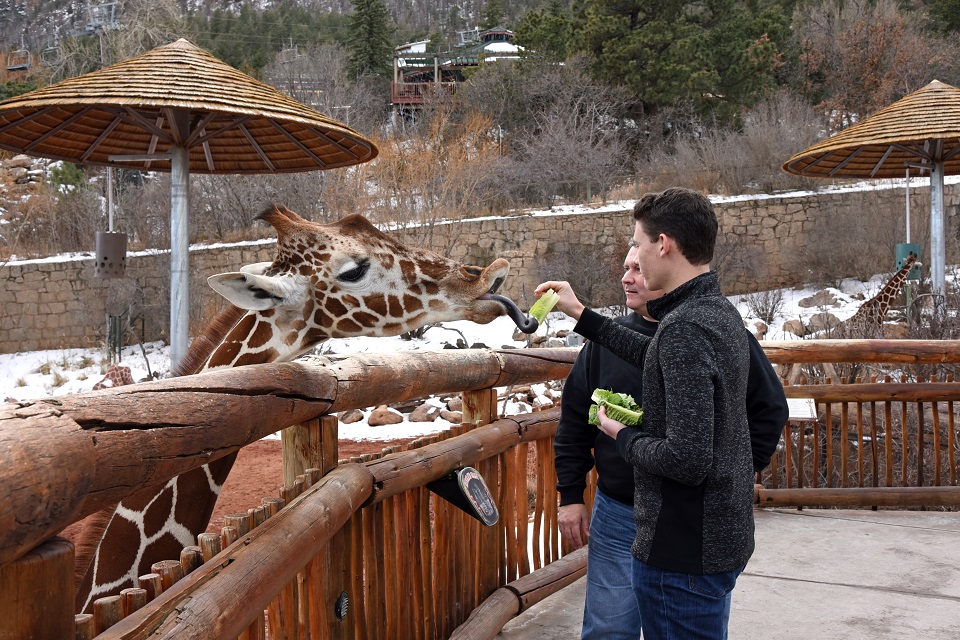 father and son at cheyenne zoo in colorado springs