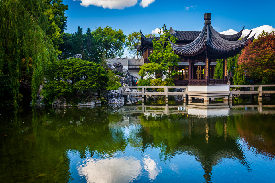 lan su chinese garden in portland
