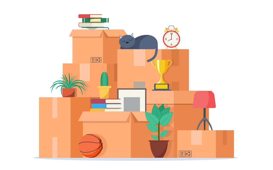 image of packed items