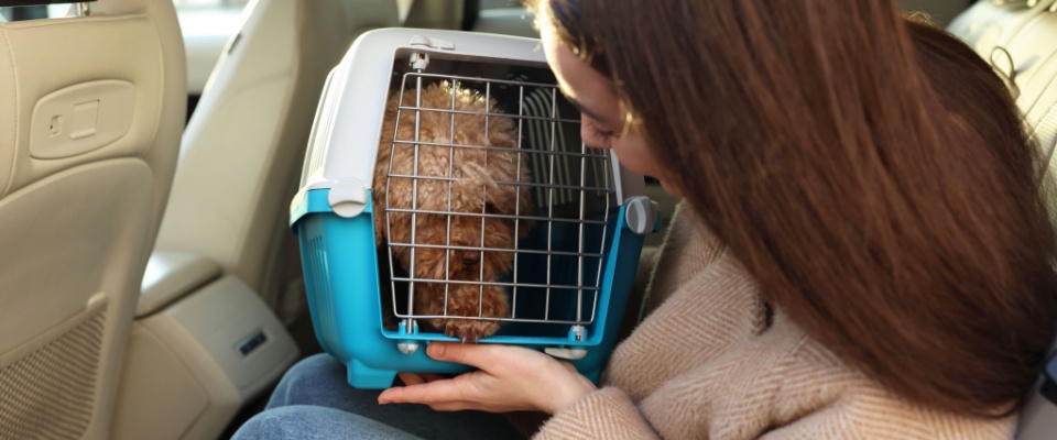 Woman with a pet carrier. 