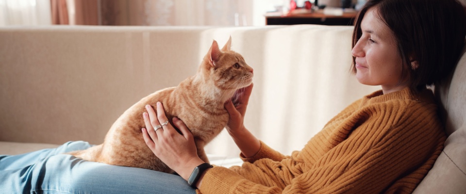 Woman pet-sitting relaxing on a couch with an orange cat on her lap.