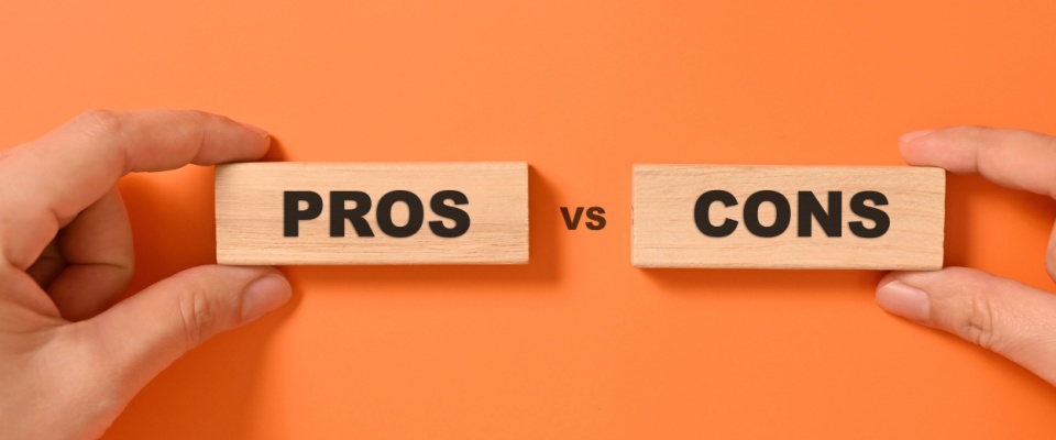 Pros vs cons of living in a build-to-rent community.