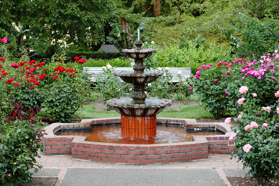 fountain in international rose garden portland