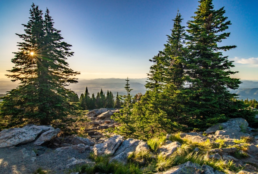 Mountain view, Mount Spokane, WA
