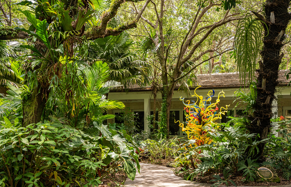 path in fairchild tropical botanic garden miami