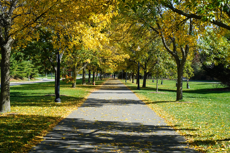 path in liberty park in jersey city