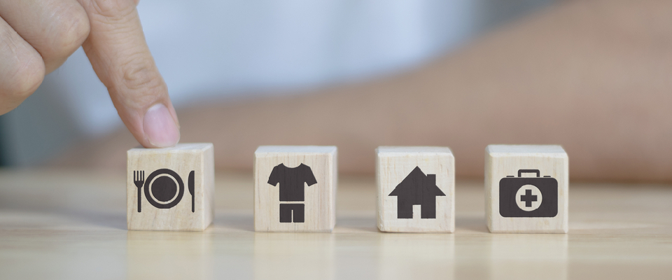 A person's hand arranging wooden blocks with icons representing food, clothing, housing, and healthcare