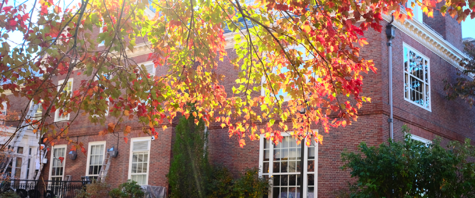 Cambridge during fall, with orange and red leaves in the trees and on the ground, and a red brick building in the background.