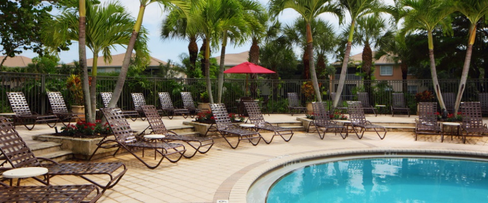 Residential community swimming pool, with lounging chairs and tropical palm trees.