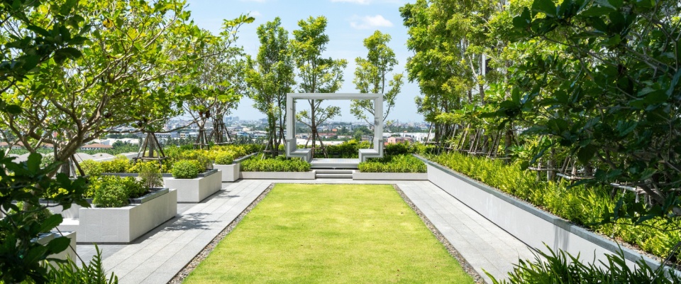 A scenic rooftop garden featuring a charming pathway surrounded by lush greenery and plants