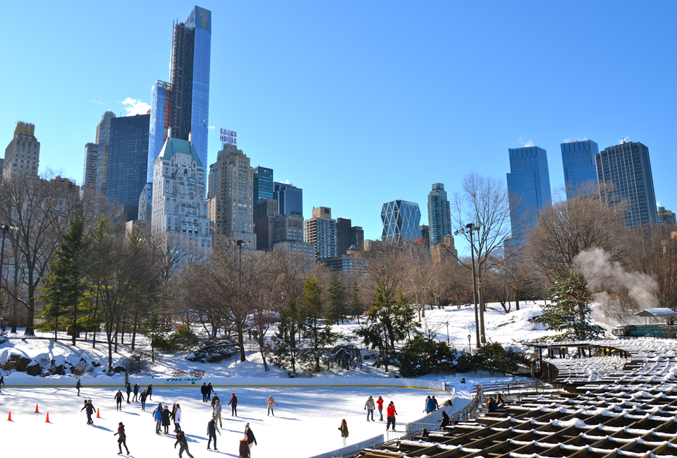 view of central park during winter