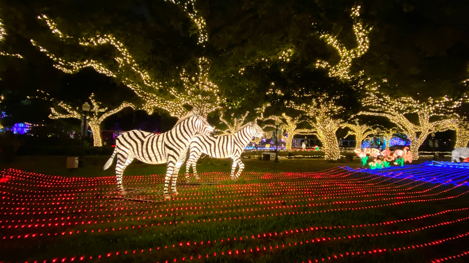lights display at houston zoo