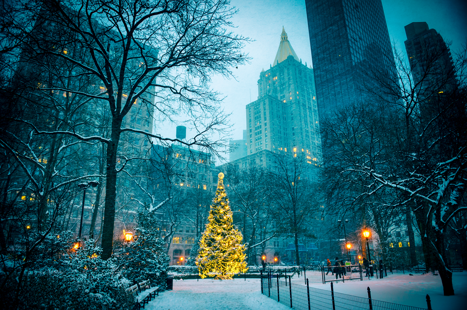 christmas tree in madison square park nyc