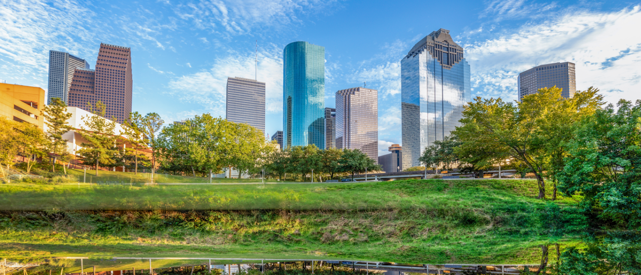 view of downtown houston