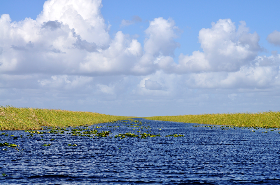 view of the everglades holiday park