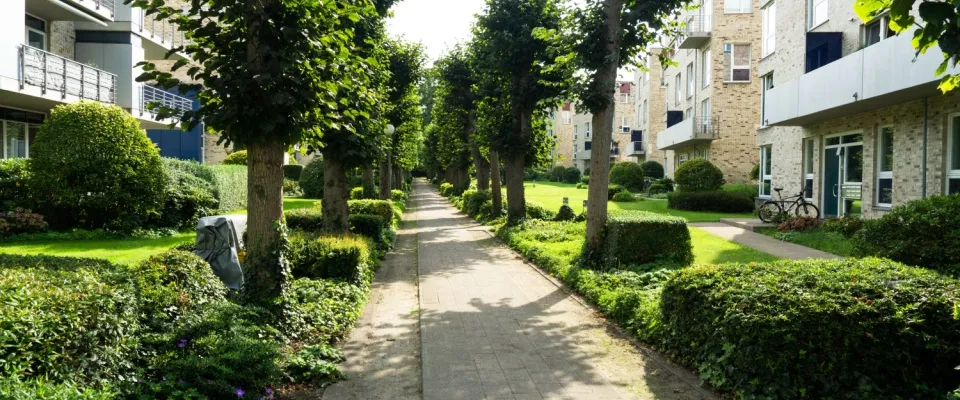 A green area with trees between two garden-style apartment buildings.