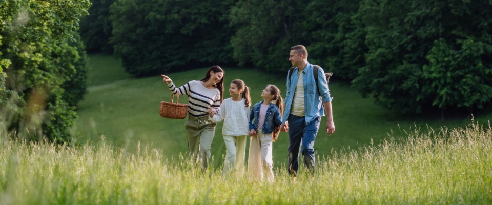 Family walking through a forest meadow, gathering mushrooms, herbs, and flowers in a basket. Foraging together as an ecological hobby in nature.