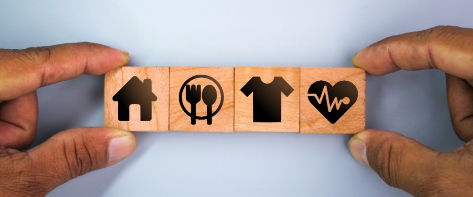 Four wooden blocks display icons symbolizing essential needs – housing, food, clothing, and health – illustrating the core components of basic living expenses.