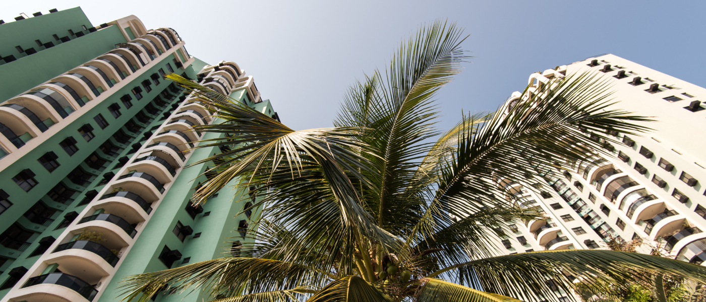 Low-angle view of two high-rise apartment buildings in Miami framed by palm trees, emphasizing the importance of asking about energy efficiency, mold prevention, and building maintenance when renting in the city.