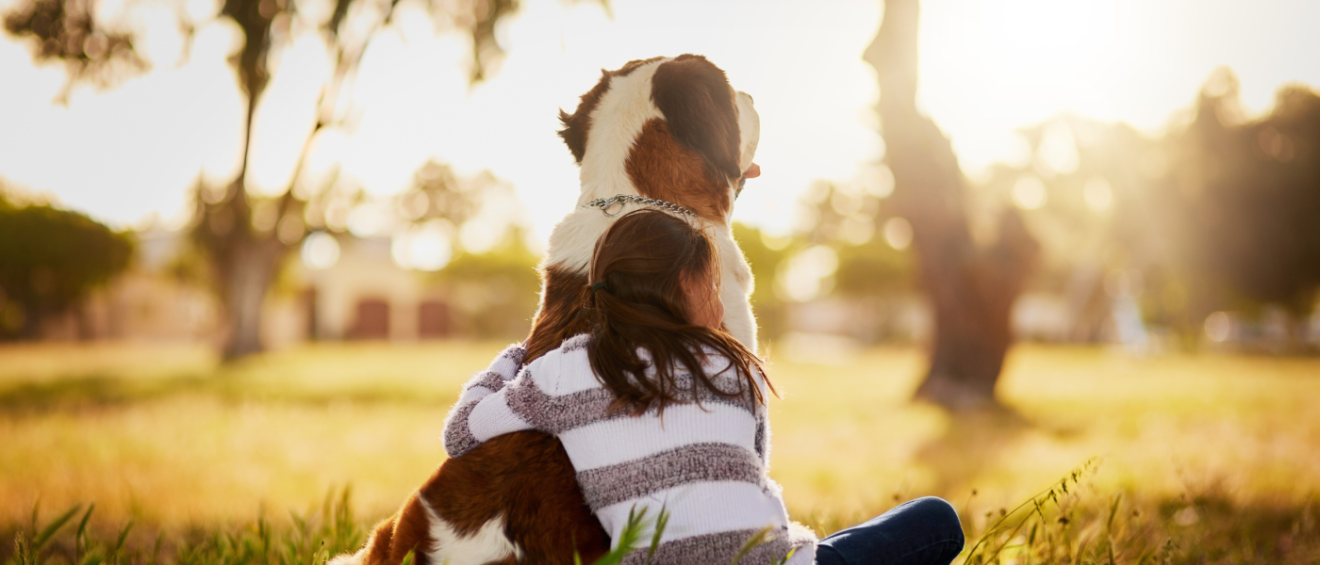A young person hugging a large dog on a sunny afternoon.
