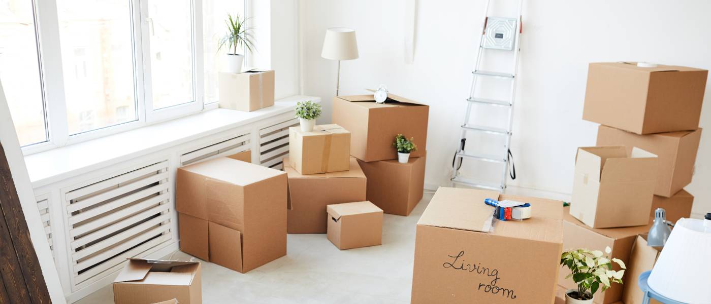 Several closed and open cardboard boxes of varying sizes are piled in a bright, airy living room with large windows, a lamp, a ladder, and potted plants, suggesting the process of packing and moving out household belongings.