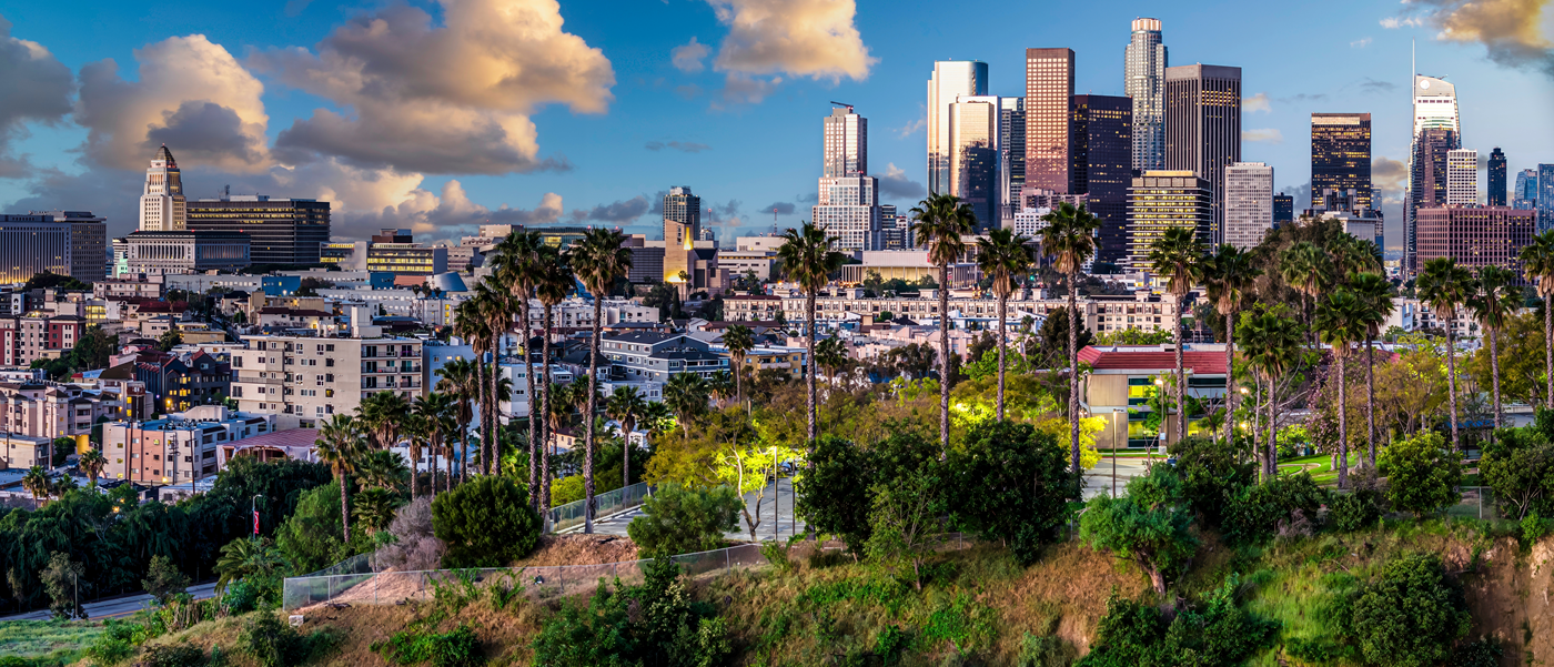 view of los angeles