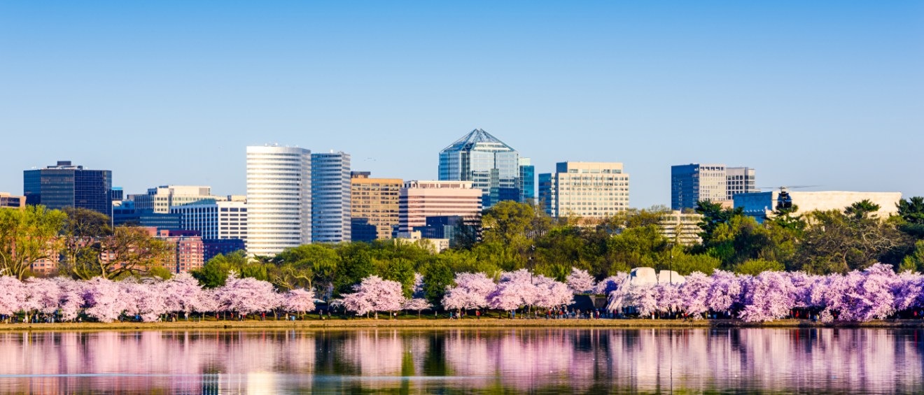 Skyline view near the Tidal Basin in Washington, DC—an area popular with renters and easily accessible via the city’s public transit system.