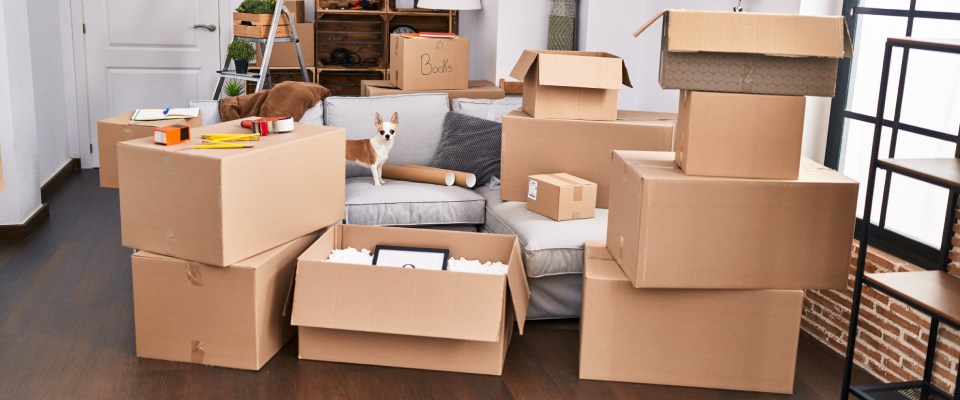 Moving In Problem Moving Day Problems & How to Avoid Them: Essential Tips