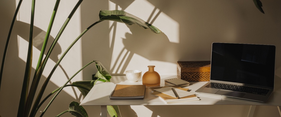 Minimalist desk setup in a bright, modern apartment for remote workers, featuring a laptop, notebooks, pens, decorative vase, and a lush indoor plant.