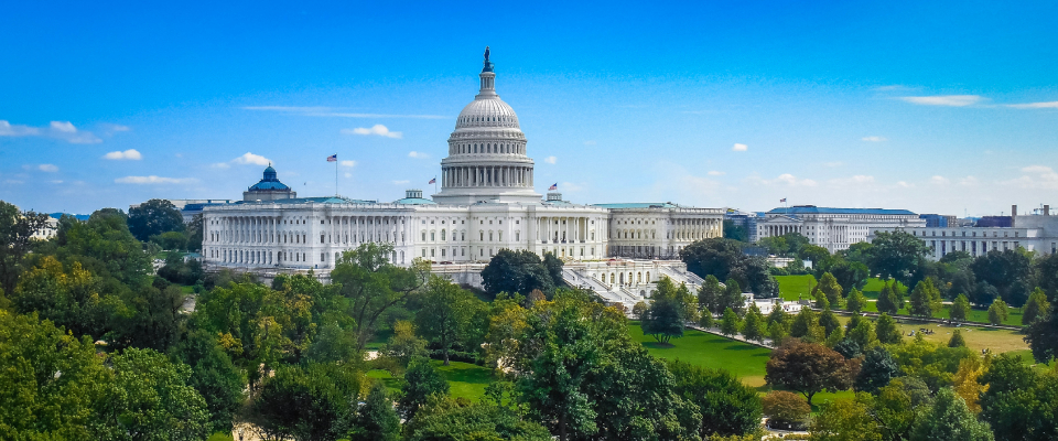 A shot of the Capitol building in Washington, D.C., the #1 city for renter engagement in the first half of 2025.