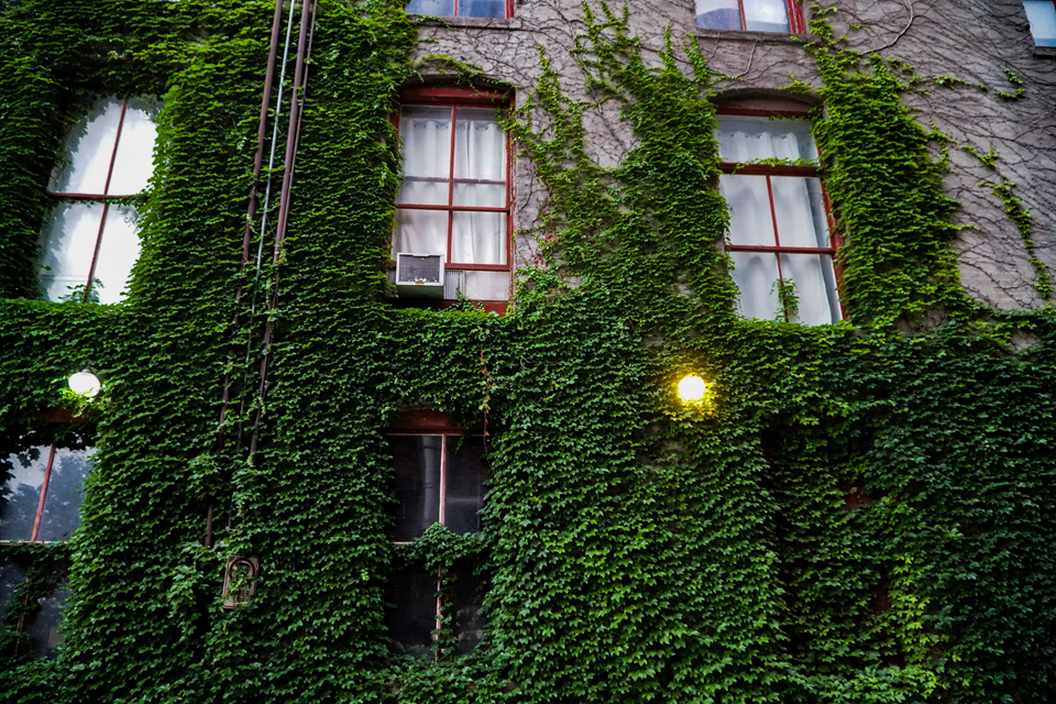 buildings in the old market neighborhood in omaha