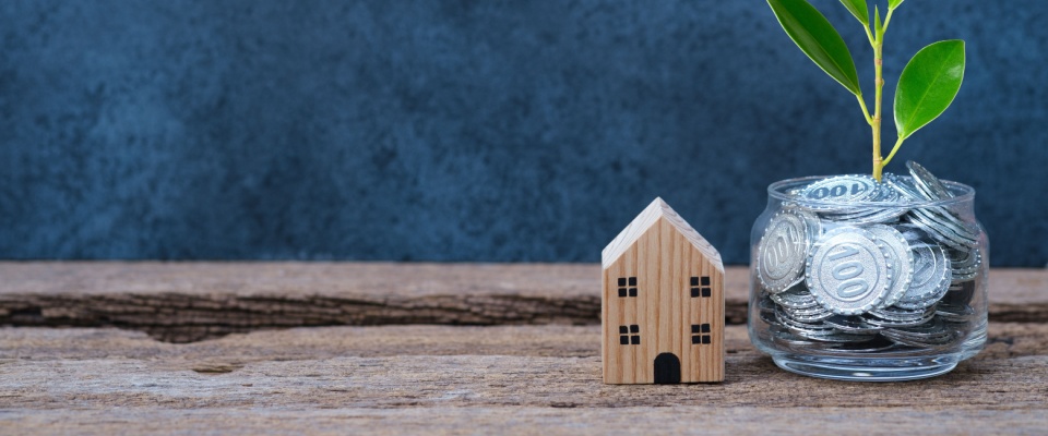 Coins with plants growing beside a wooden house model, representing savings and financial growth during the move-out procedure.