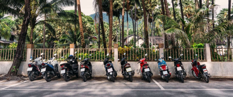 A line of scooters parked along a road near palm trees in — an example of how urban transport and limited space often lead to parking questions in busy areas.