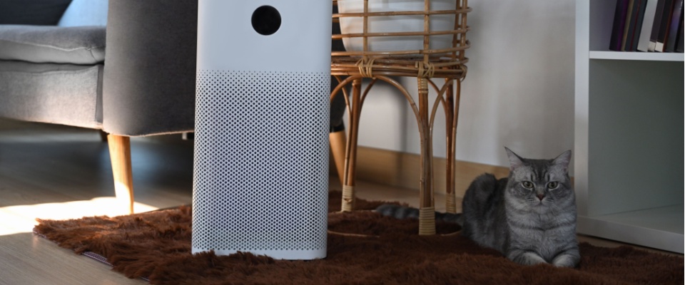 Gray cat resting on a brown rug beside an air purifier in a cozy apartment, illustrating a pet maintenance apartment tip for managing pet odors and maintaining clean indoor air quality.