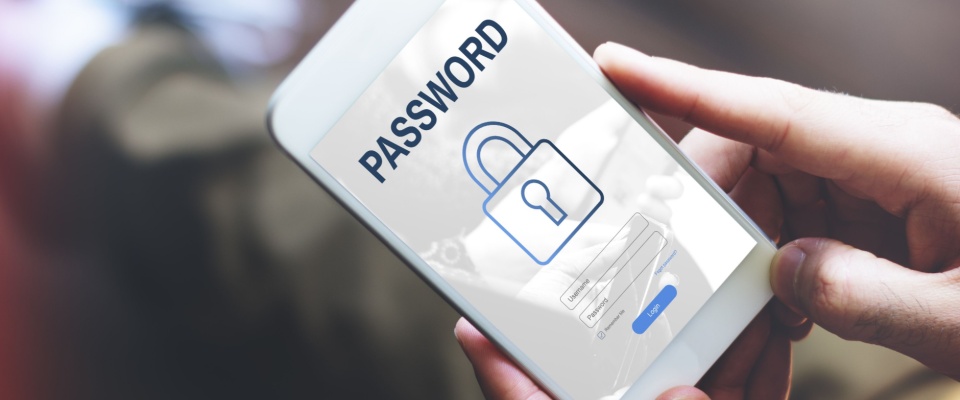 Person holding a smartphone displaying a password login screen with a padlock icon, highlighting the importance of password security in preventing identity theft.