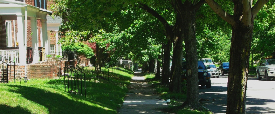 A sunny view of the tree-lined streets and shaded sidewalks in Reservoir Hill showcases the charm and greenery of this historic neighborhood, making it a desirable spot for those considering apartments in Baltimore.