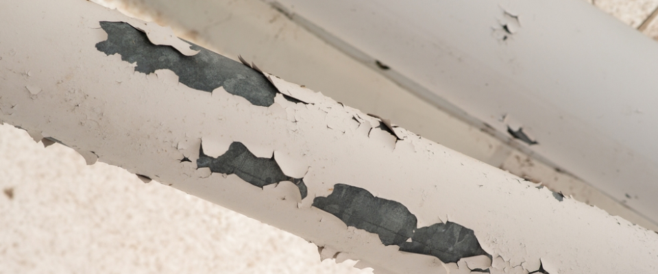 Chipping lead paint on an old pipe, highlighting the health risks that make lead-based paint disclosure essential for renters in older apartments.
