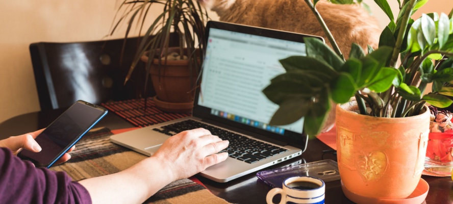 Person working from home
