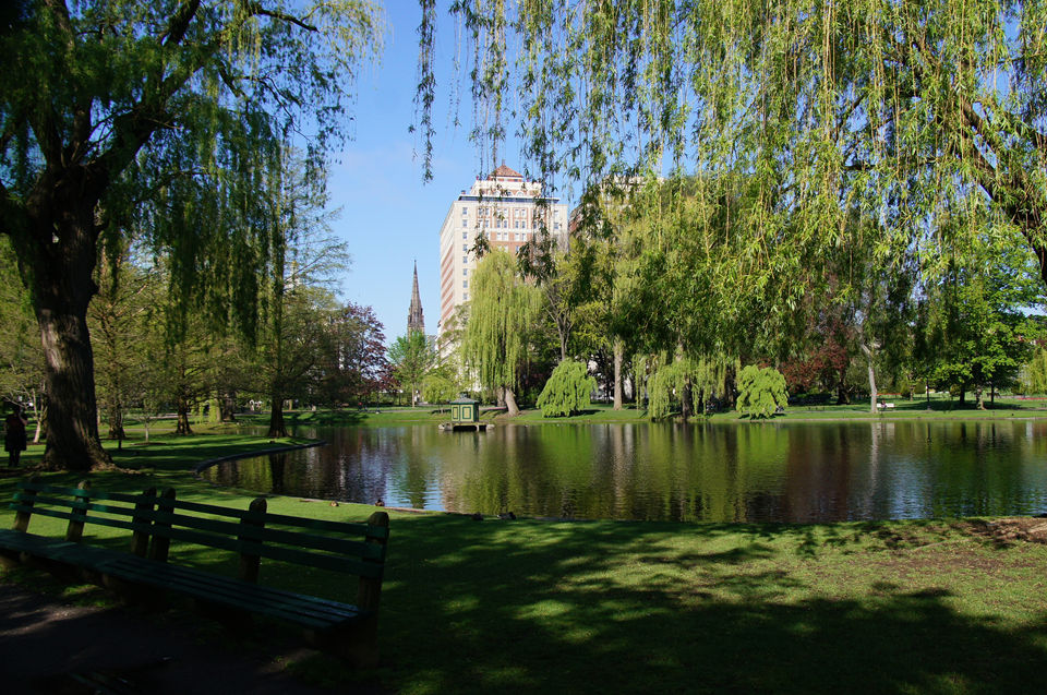 part of boston common park