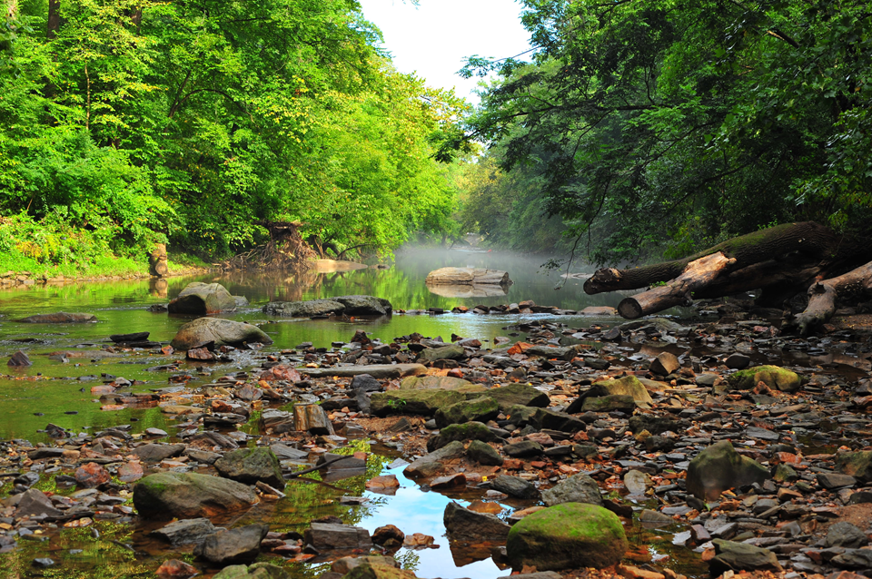 view of a stream in philadelphia while on a hike